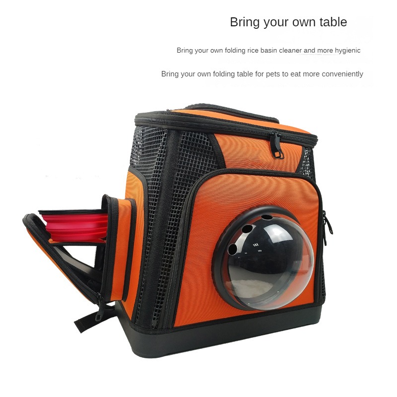 Pet outdoor backpack